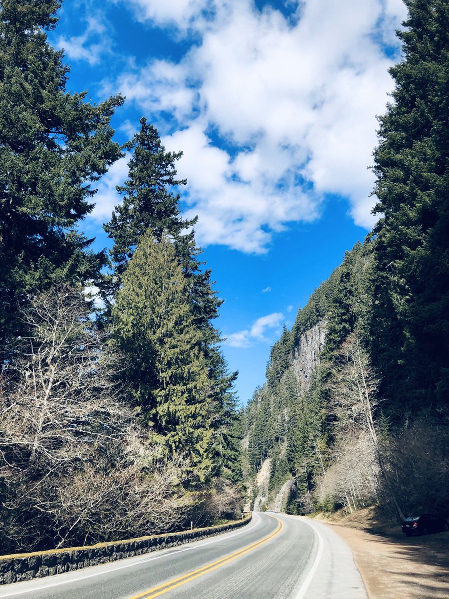 ShebaMystique's tweet image. Just me and the entire mountains 🏔 to myself. Not a single soul in sight.  ☘️🌿🌿🌲🍀

#SoloHiking 
#SecondDayOfSpring 
#SocialDistancing 
#MtRanierNationalPark
