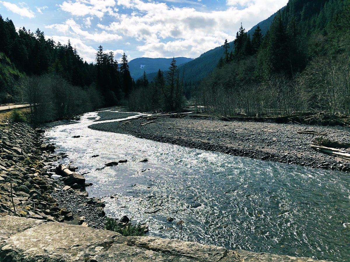 ShebaMystique's tweet image. Just me and the entire mountains 🏔 to myself. Not a single soul in sight.  ☘️🌿🌿🌲🍀

#SoloHiking 
#SecondDayOfSpring 
#SocialDistancing 
#MtRanierNationalPark