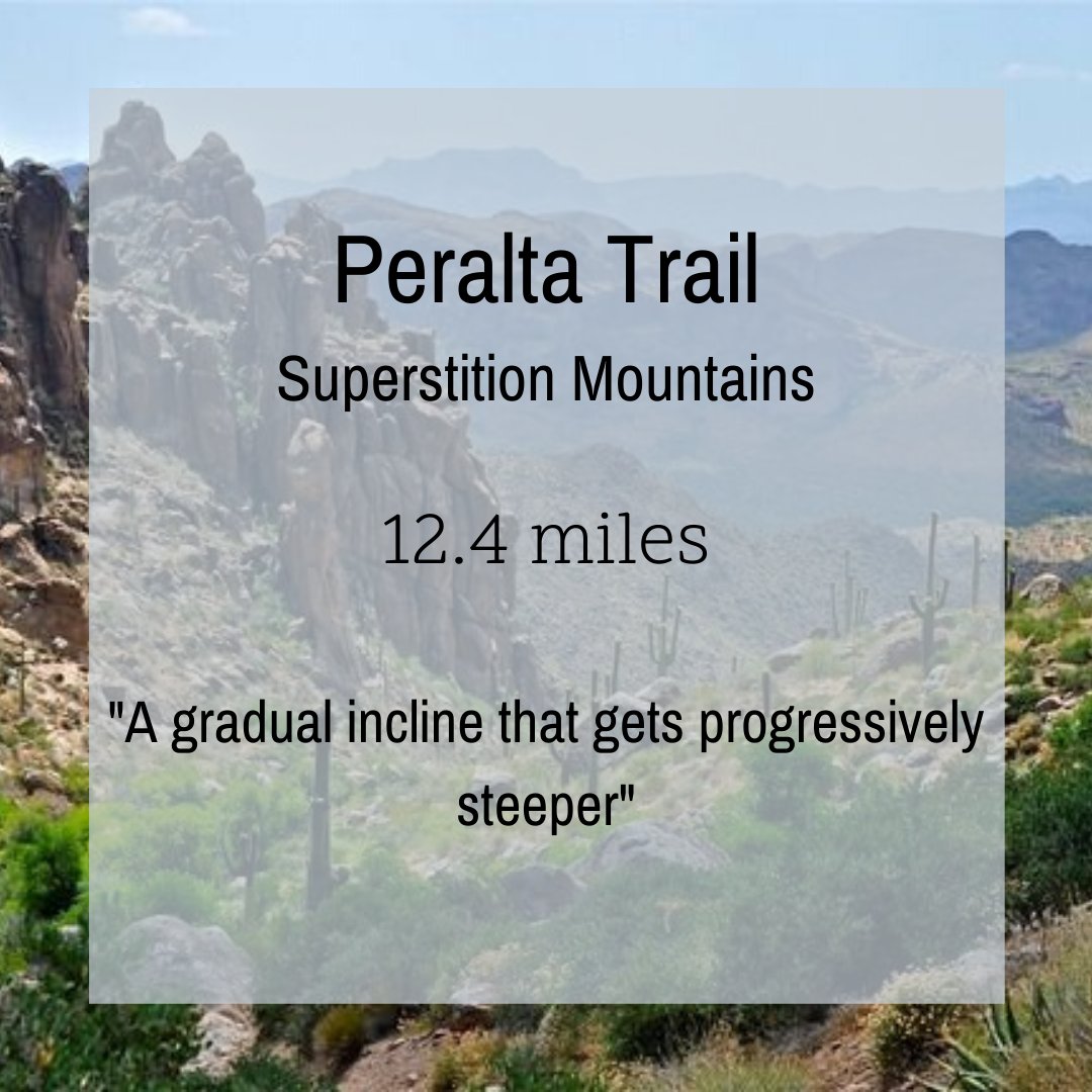 DrEddyClinic's tweet photo. RT @PowellClinic: Get Moving Arizona. 
Even though it is suggested to stay in our homes, we still need to keep active. Check out this weekend's hike. #powellclinc #chiropractic #acupuncture #functionalmedicine #hiking #stayactive #move #movebetter #moveb… https://t.co/uNAcQmRQbU