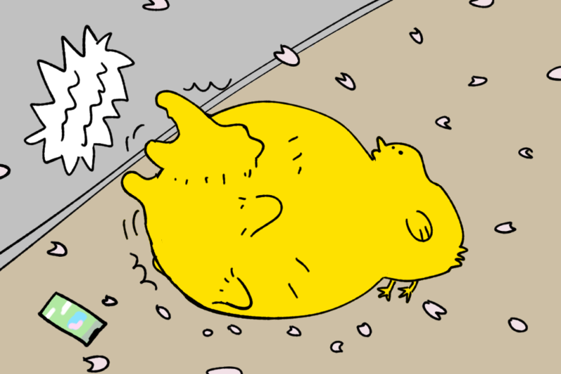 ぼけー This Is True Ending Of The Crocodile Who Dies In 100 Days