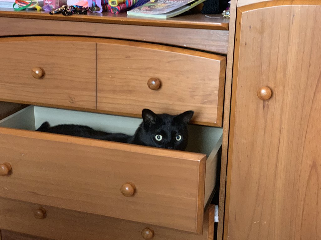 Great news 2nd grade friends! Pete the Cat is double-checking all of our lessons to make sure they’re fun.  I’m excited to start learning again with you soon! @PrairieViewEMS