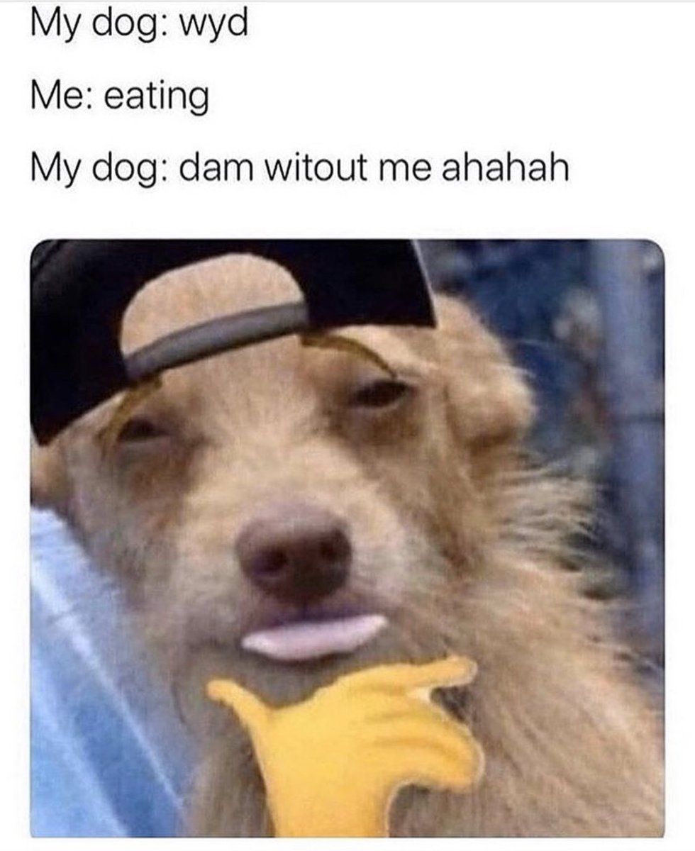 Filmandmemes's tweet image. 