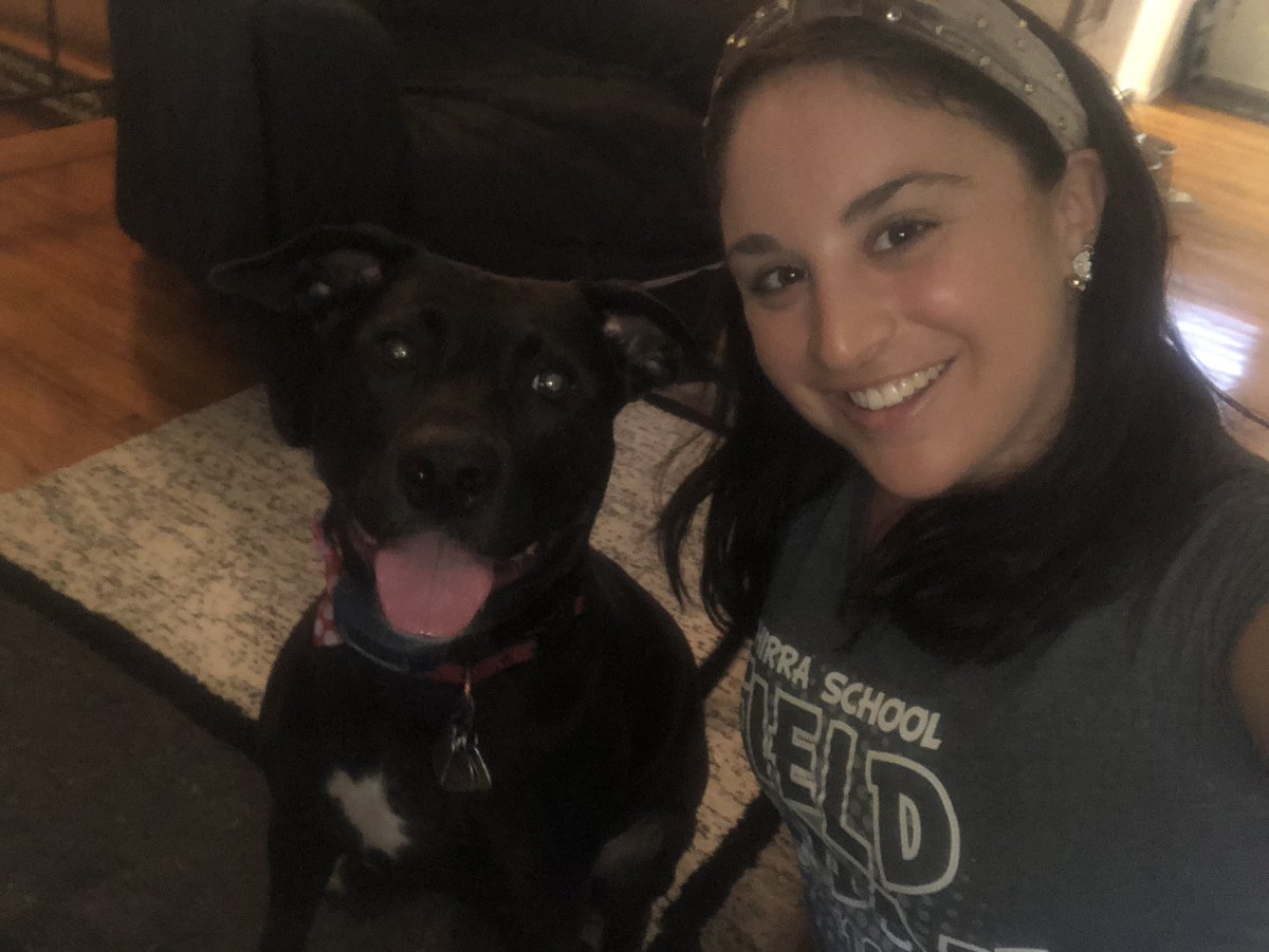 mrs_lamartina's tweet photo. Happy virtual spirit day from myself and my Ohana (who is very happy to be out of her cone of shame!) @OBSupCittadino @schirratigers @SchirraPTA #OBPSPROUD https://t.co/1u7TYwfDlL