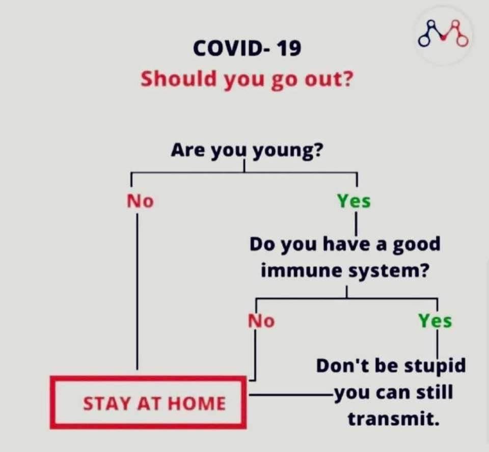 SM Florea (@sm_florea) on Twitter photo 