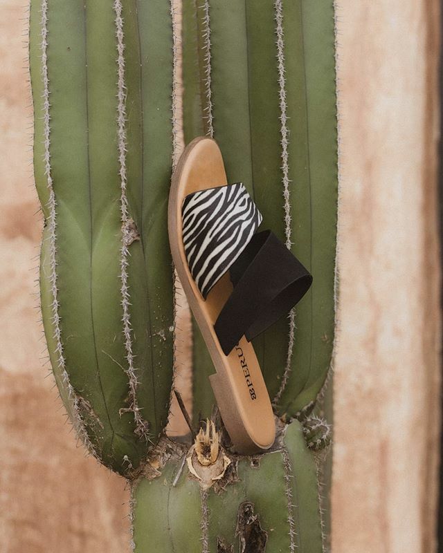 MajorTrendBlog's tweet photo. El estampado de zebra llega a conquistar tu corazón...🖤🦓✨
Te atreves?
Entra a https://t.co/30MBkA8tEa y ve por los tuyos con envío gratis utilizando el código 40NA.
#TheMexaSociety #SCTYShoes https://t.co/QRCdXY1vHJ https://t.co/e7s4Sc0jBy