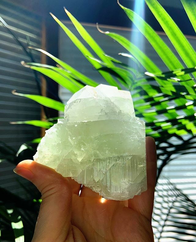 SpaGoddess's tweet photo. GREEN APOPHOLITE Cosmic Download⁠
⁠
This lightcode magic happened yesterday, while I was clearing this special crystal in preparation to make the GREEN RAY Gem Elixir for the Immunity Collection.⁠
⁠
Is this a cosmic ray of light or what?!⁠
⁠
The … https://t.co/O8lbYthbYU https://t.co/2uDMf6H6vJ