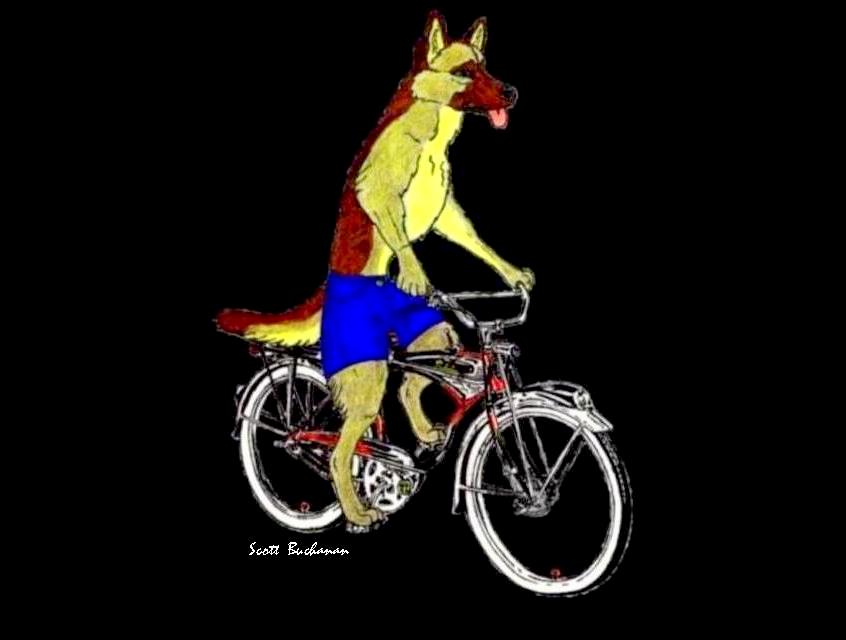 SquiggleDog's tweet photo. This is a dog riding a highly-optioned Schwinn Black Phantom bicycle. 

Pen, colored pencil, MS Paint https://t.co/0r2oAIHOpv
