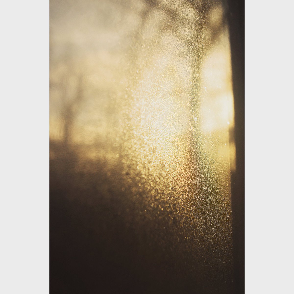 mlw_lynn's tweet photo. Light through the bathroom window tonight. Never forget that “just to be alive is a grand thing”. #light #goldenhour https://t.co/PLMyTPAoFh