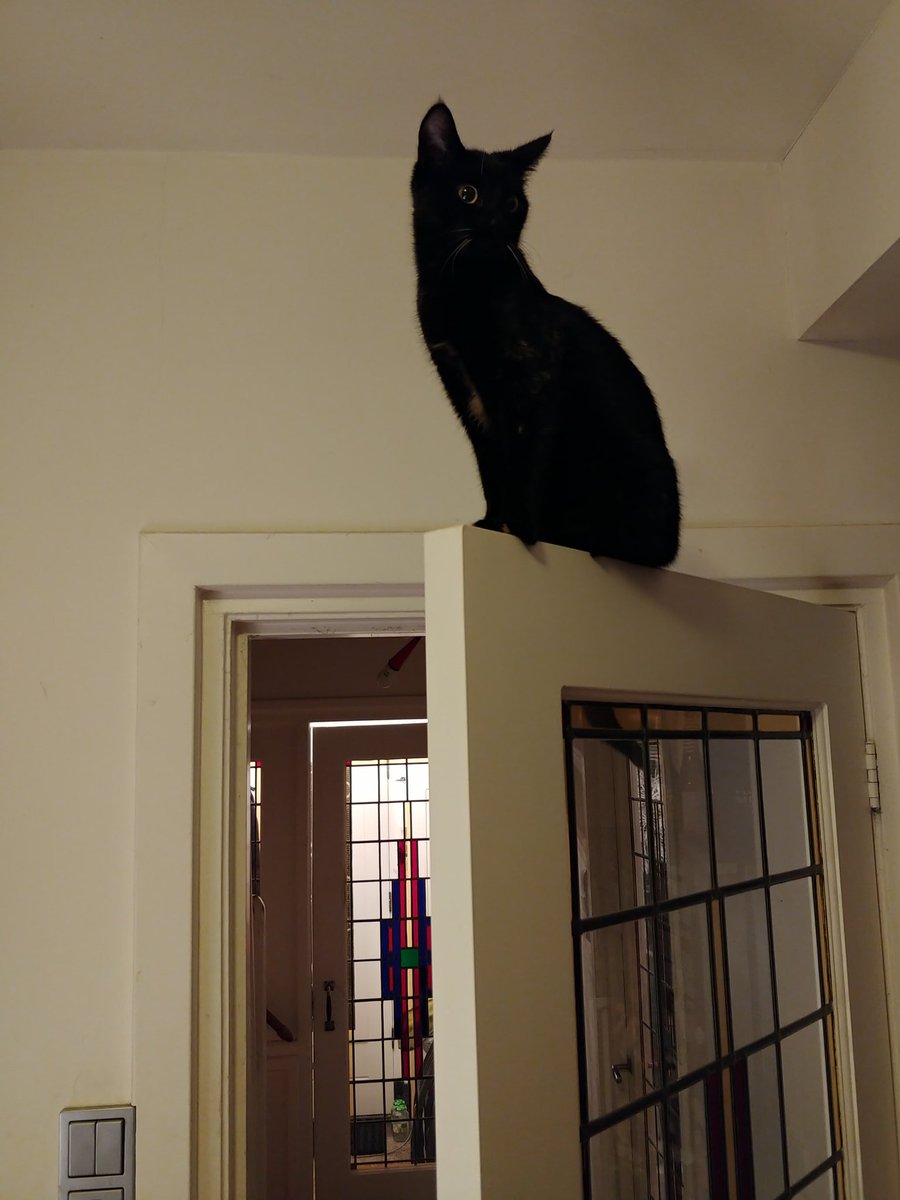 Dhr. R.H. tweet media