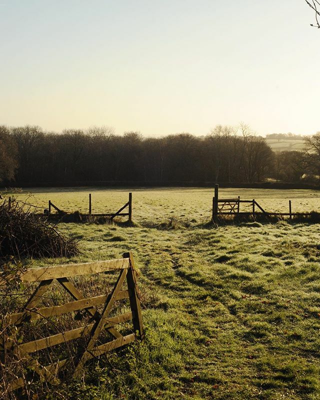 As with it all out there this week, things got quite crazy quite quickly here at Feldspar HQ. The good news is (and let’s start with the good news, by jove do we need some) - we’re very lucky to have a wonderfully supportive and just generally amazing te… ift.tt/2Us6LN9