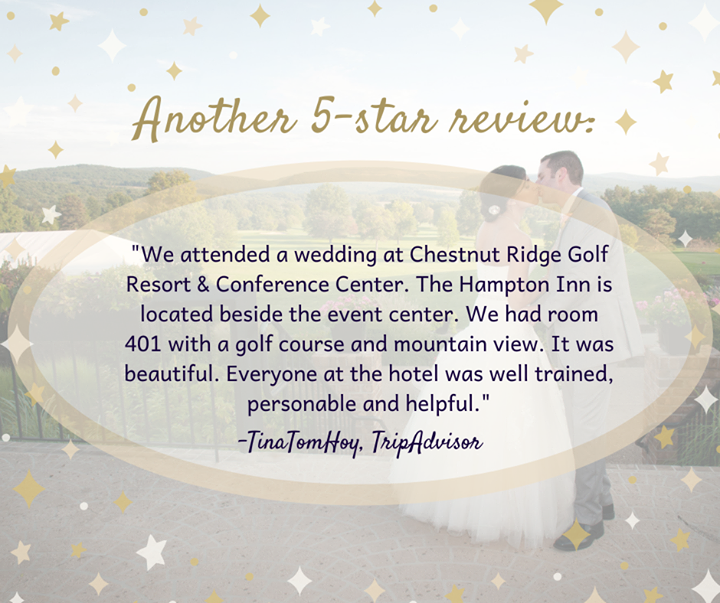 HamptonBville's tweet photo. Another 5-star review! https://t.co/UZcp0bDHVL