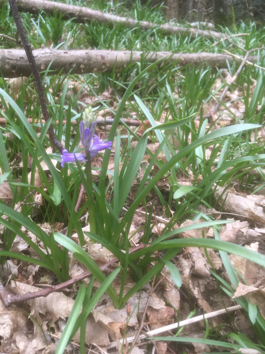 Andy Delves tweet media