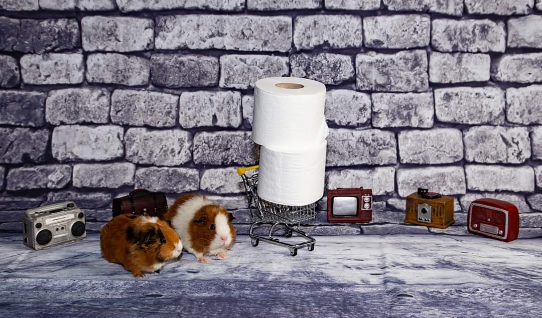 Penelope et Lilo. ♥️♥️