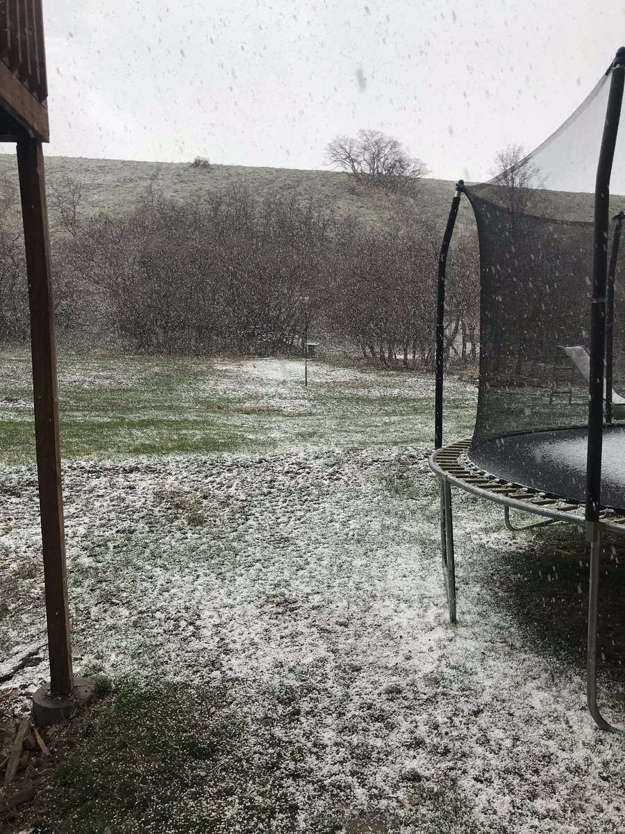 Graupel coming down pretty good in Elk Ridge. #utwx <a href="/NWSSaltLakeCity/">NWS Salt Lake City</a>