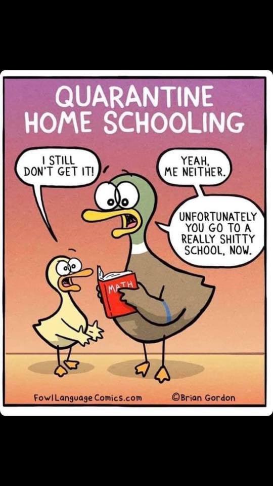 's tweet image. Helping with school work - tough when the kids were in high school....even tougher in college 😬 #goFigure #JustKiddingImNotHelping #funnyThough