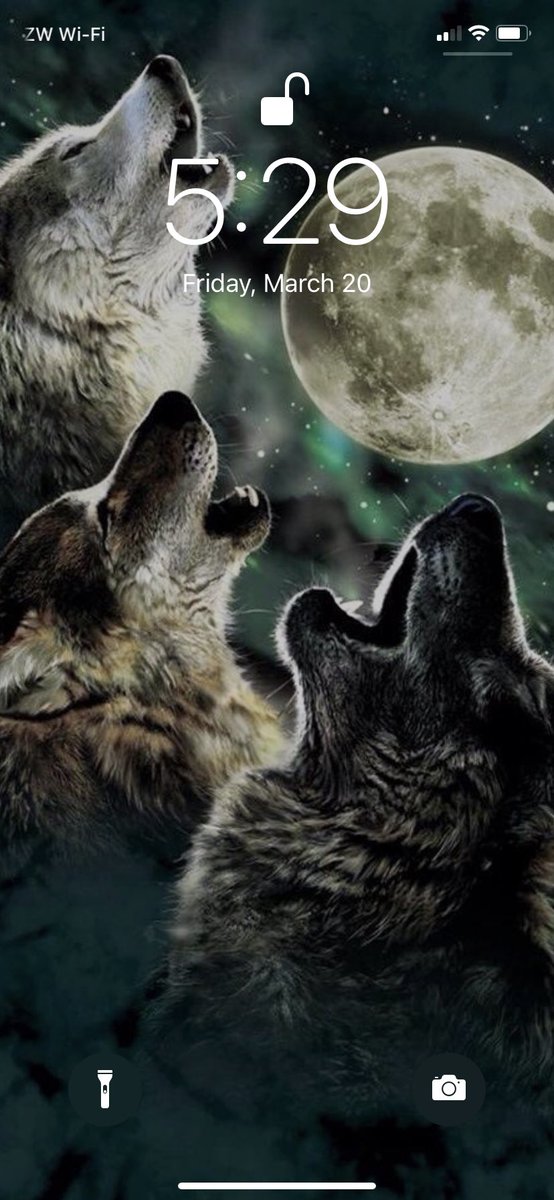KeepRuminating's tweet photo. Expose yourself

1. Lockscreen Wolves of course 
2. Homescreen @RED duh! #RED
3 Last song you listened to @fivenorthmusic #FiveNorth
4.18th picture Another kinda @RED related 
5. Tag 6 authors   @PKBohan @hefcarter @domholland @CalzoVicky @AuthorBryan @stormrosewriter https://t.co/SIwhYwMVZx