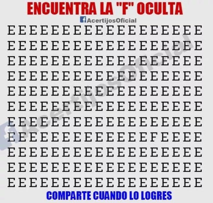 Mary X 🩵🐕🐈 tweet media