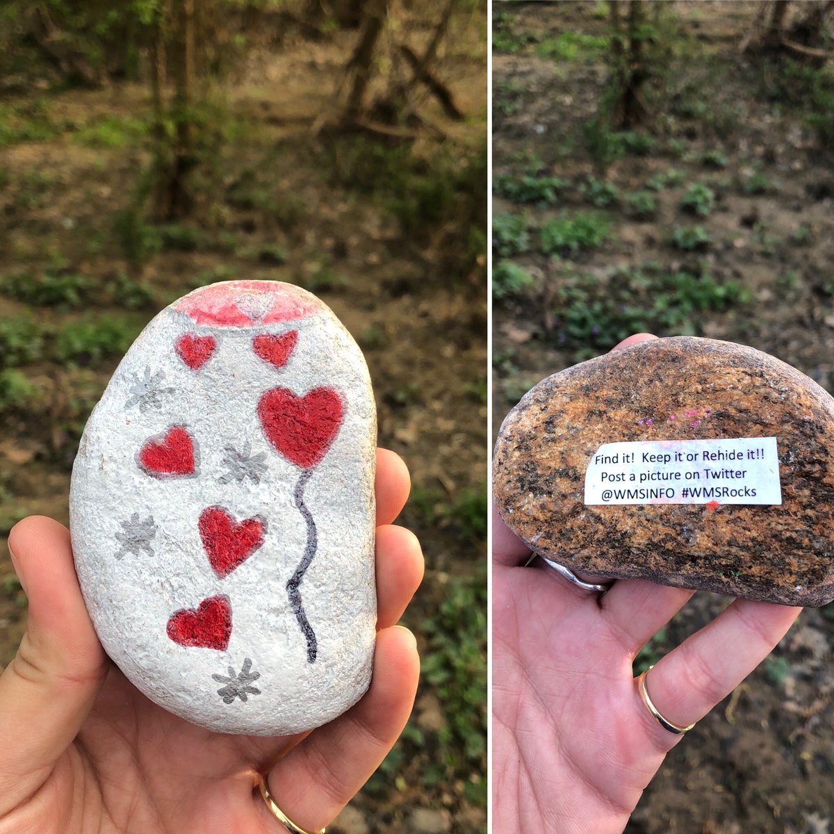 SoftballCavs's tweet photo. Practicing social distancing and went on a trail walk... found this cute guy! #WMSRocks what a great initiative, wonder who will find it next - also remember to wash your hands! 🧼 🗿 https://t.co/bnlgoaSlEt