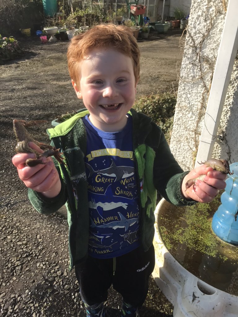 deb76566985's tweet photo. Coming home to this face always brightens my day #son #frogcatcher #StaySafeStayHome https://t.co/TNpTA8gooV