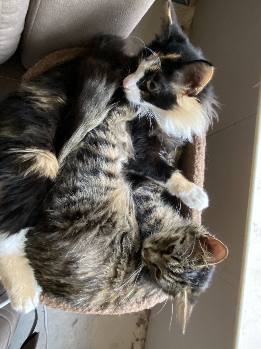 Mine outsyde simster......... she es enside naow.. !