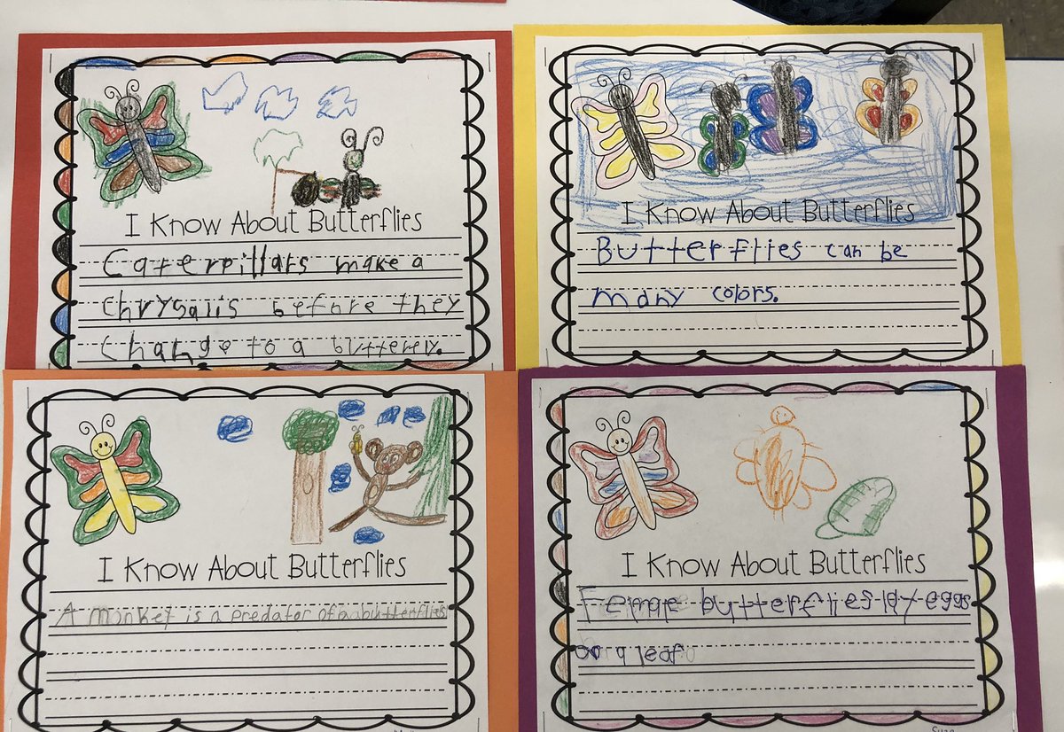 cquinnbuck's tweet photo. #ESL students @SASD_EMC butterfly facts 🦋 they learned all about life cycles 🦆🦋🐛🐣 https://t.co/H8t6qjPL8w