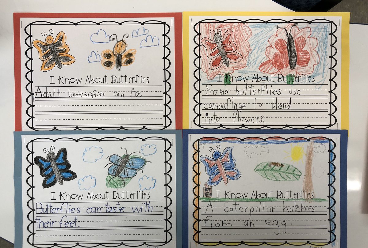 cquinnbuck's tweet photo. #ESL students @SASD_EMC butterfly facts 🦋 they learned all about life cycles 🦆🦋🐛🐣 https://t.co/H8t6qjPL8w