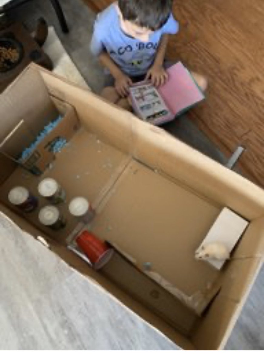 This Glyndale student knows the importance of reading every day! Reading to his hamster! 💕❤️<a href="/GlyndaleElemen1/">Glyndale Elementary</a> <a href="/JennVandy/">Jennifer Vanderbunt</a> <a href="/RozierDebbie/">Debbie Rozier</a> <a href="/cford912/">Cynthia Ford, Ed.S</a> <a href="/Dedicated2Learn/">Sung Hui Lewis</a>