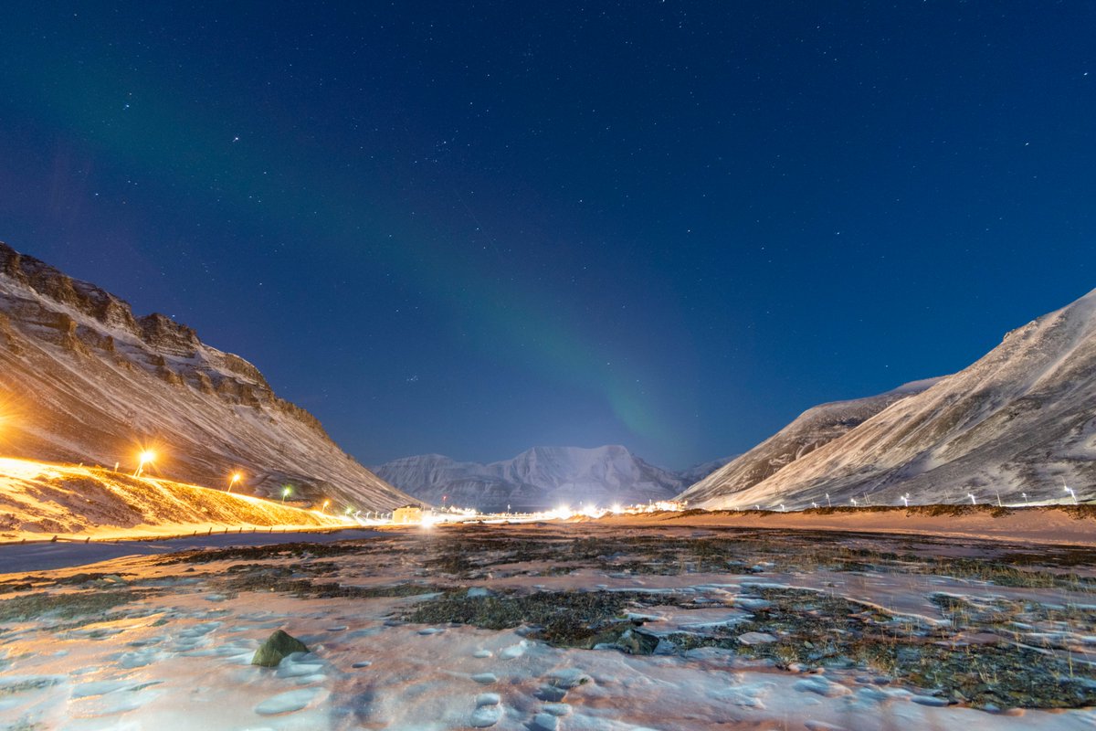 Là bas, il y est interdit de mourir en raison du sol qui est constamment gelé. Tout le monde doit porter un fusil lorsque l'on sort de la ville (ou accompagné d'un guide). En effet sur l'archipel, il y a plus d'ours blancs que d'habitants. (2300 habs pour +3000 ours)