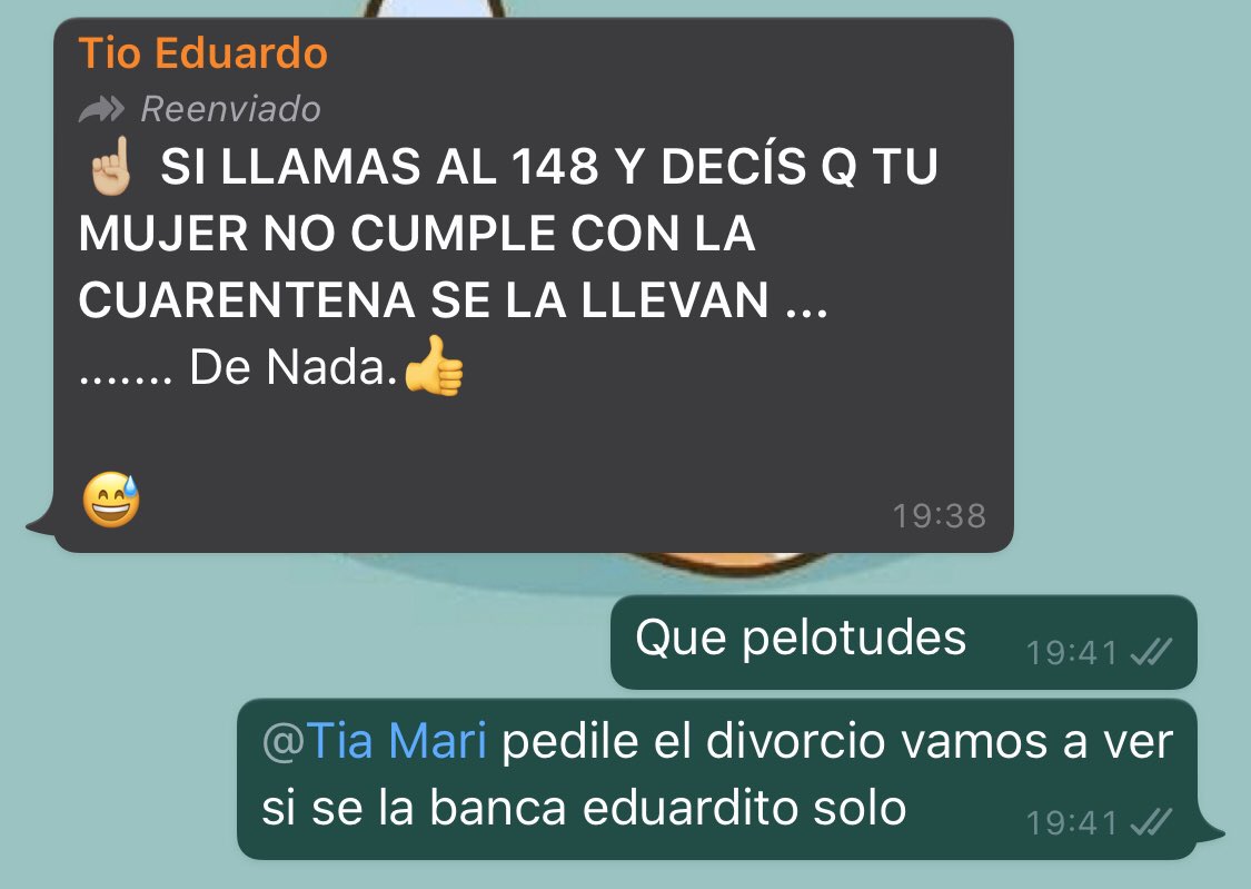 guidomart1n's tweet photo. La cuarentena me encuentra con menos pulgas de las habituales https://t.co/cbg7a1ASbA