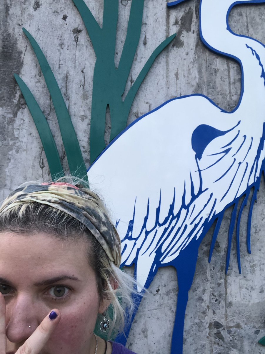 whimsicolelife's tweet photo. Couldn’t get a good pic but it is what it is. OA scavenger hunt. Birds and water #findtheoa https://t.co/Sl4rlOndOv