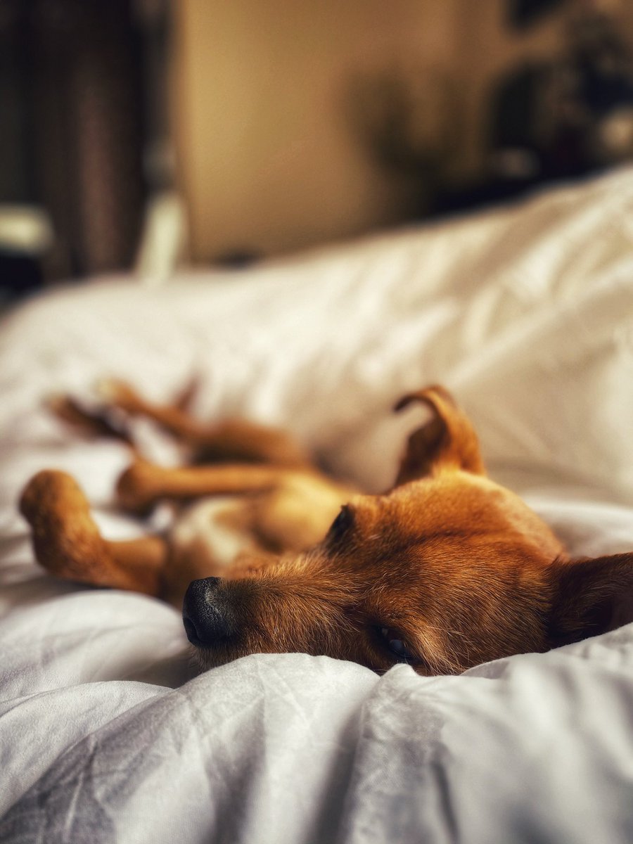 Raymonman's tweet image. #lockdown #cuarentera #boring #QuedateEnCasa #yomequedoencasa #spain