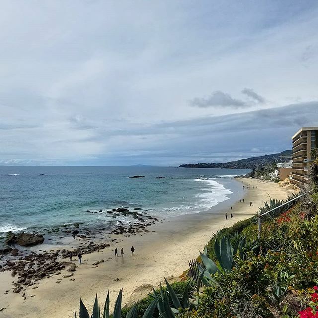 LifeLagunaBeach's tweet photo. So fortunate to be able to enjoy the great outdoors while otherwise staying indoors all day. The beaches and trails are the perfect break from the solitude. 🌴🌊 #keepsafe #stopthespread  #lifeinlagunabeach #lagunabeachcommunity #welcometolagunabeach #… https://t.co/qlQwmt6JLv https://t.co/p6haCz1hZU