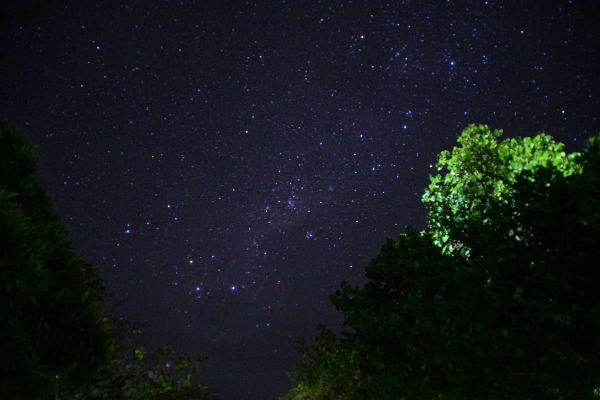 Sky (@skymyjourney) / Posts / X