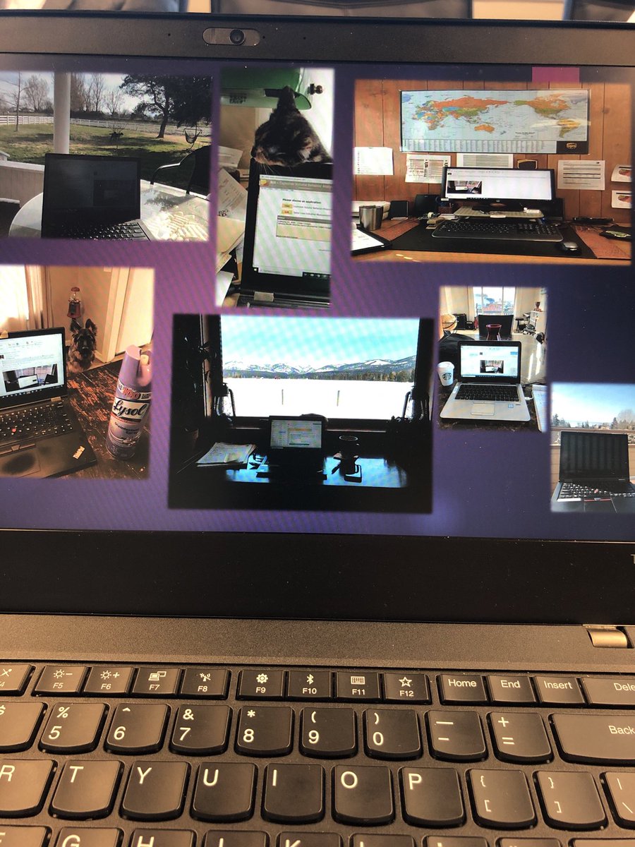 Nes Seman tweet media