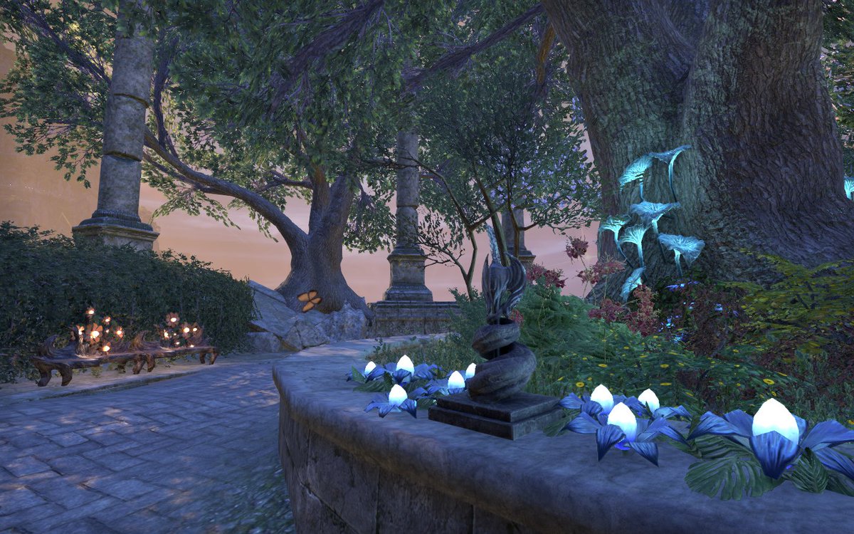 Raptor788's tweet photo. @TESOnline Praise Kynareth and Dibella for the beauty of this season. https://t.co/pzAdHNhi70