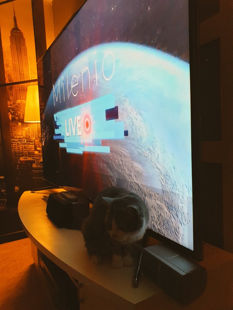 hassenshi's tweet photo. Preparándonos para ver @mileniolive, @navedelmisterio https://t.co/6BTy0VpUwc
