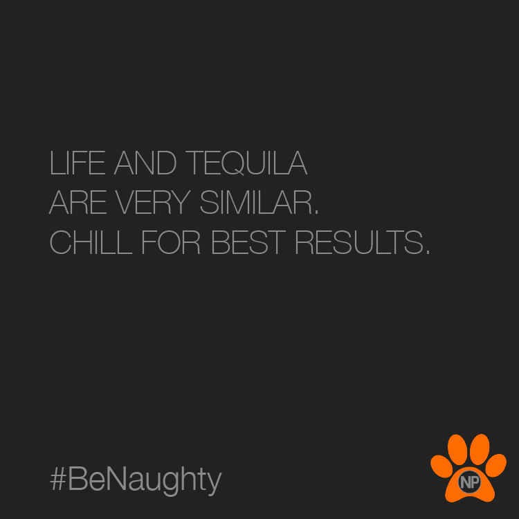 naughtypawsteq's tweet photo. We Concur. Chill with some Tequila, friends. #NaughtyPawsTequila #NPT #BeNaughty #BeNice #GIveBack⁠ 🧡 ⁠#blancotequila #tequilablanco #tequila #tequilamexico #womenowned #smallbusiness #givebacktoanimals #tequilalover #fortheloveoftequila #wickedsmooth #pureagave #topshelf https://t.co/bHyBuvHuT8
