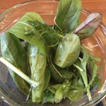 ツイートに含まれる画像