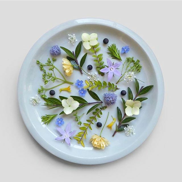 ‘Do Remember They Can’t Cancel Spring’ - David Hockney. Via @presentandcorrect ift.tt/3a8FGW7