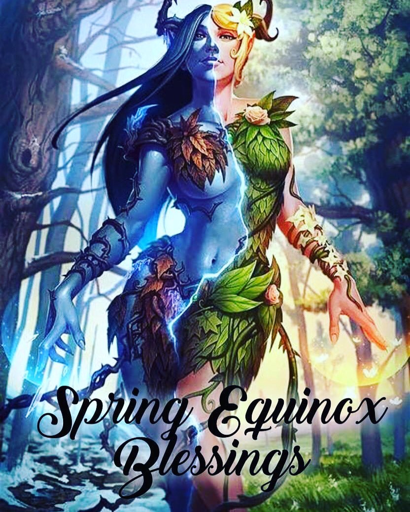 Aphoena (Witch with a paranormal touch) tweet media