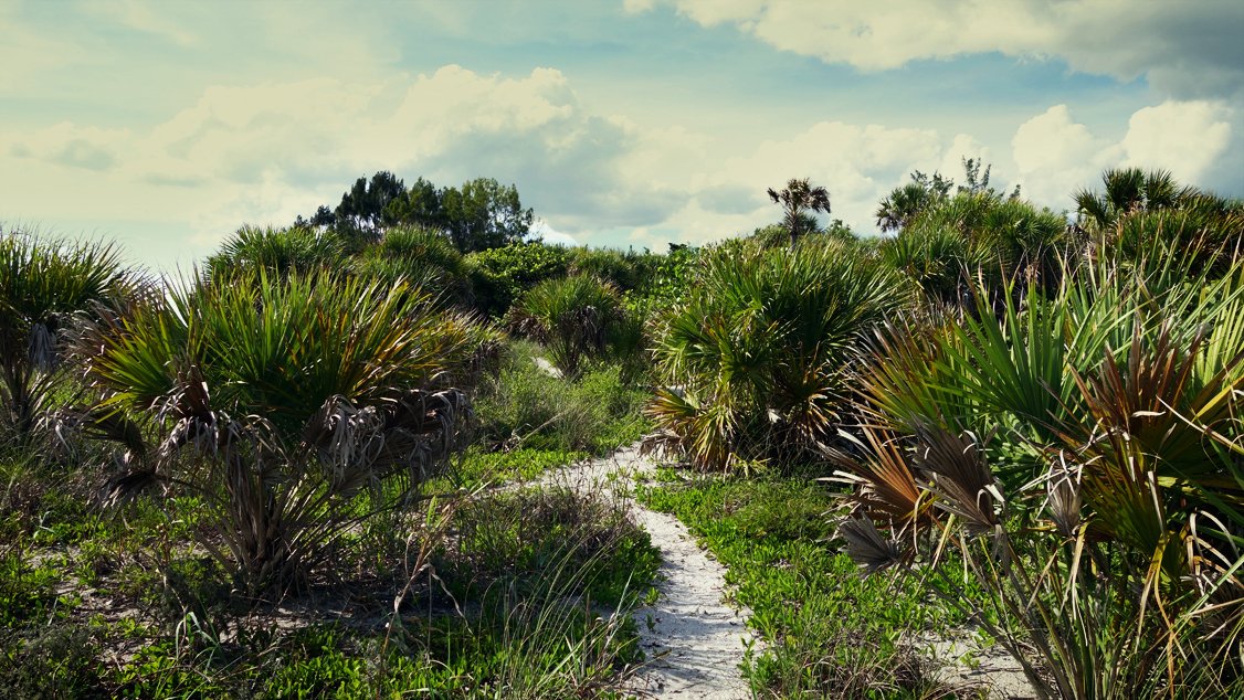 ax4ufotos's tweet photo. Isolation in Florida. #sunshinekillsvirus #CoronaVirusUpdate #FridayVibes #nature #internetsoslow #everyoneoninternet https://t.co/qLetz8mrES