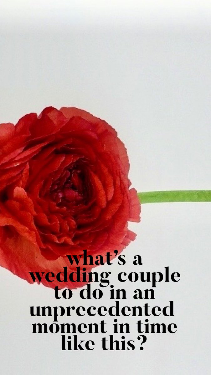 RepeatRoses's tweet image. Connecting community for our NYC neighbors in need, thanks to this amazing couple that was counting on their wedding this weekend: instagram.com/p/B9-KX5dh16U/… #weddingindustrystrong #petalitforward