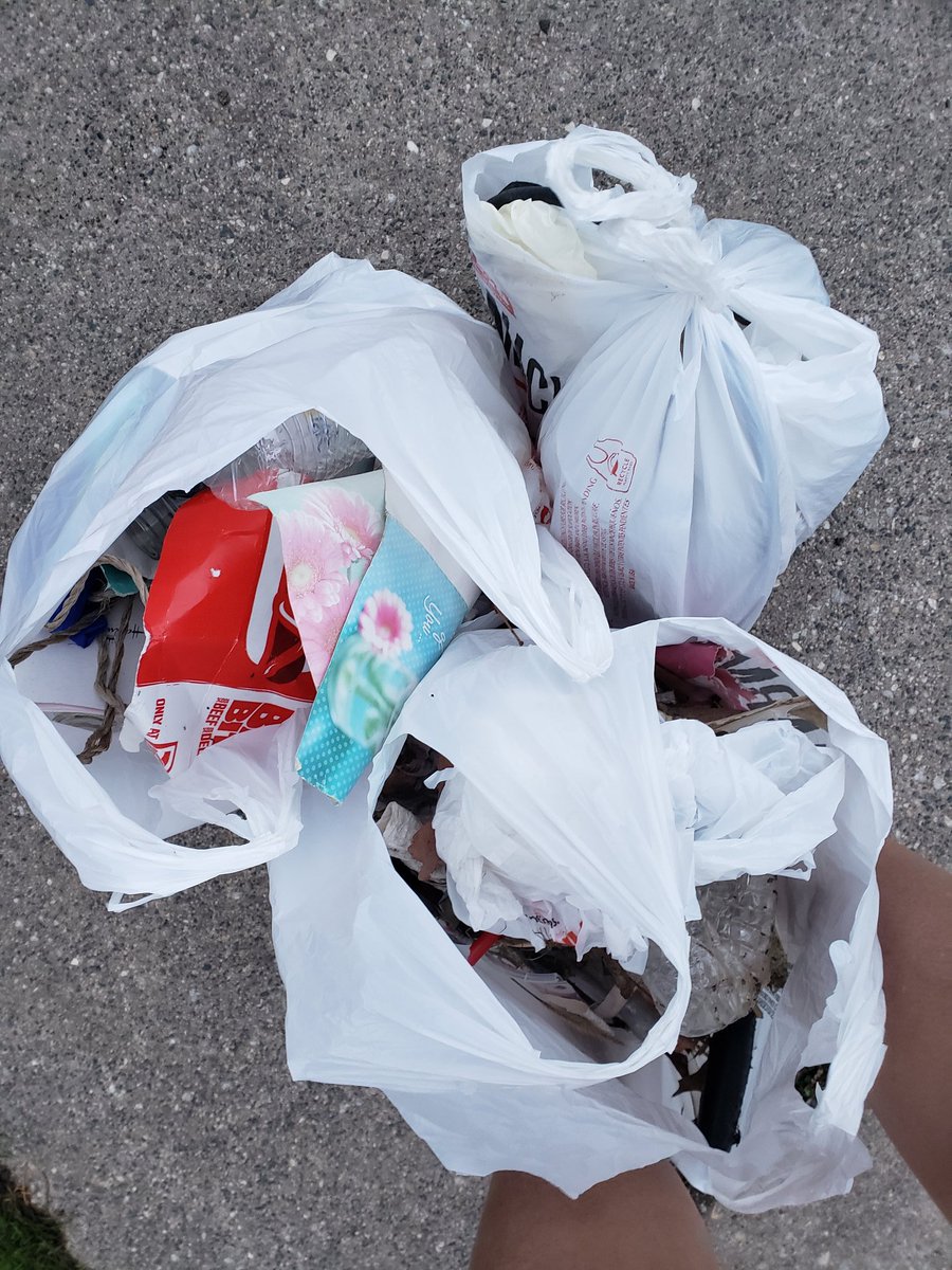 runSue19's tweet photo. #3GoodDeedsDaily during #Covid_19 Social Distancing #Myself: signed up for an online grad class 📘🐛 #Family: Afternoon McTormey PE skate time 🤸‍♀️🤸‍♂️ #Community:   Post dinner family walk - three bags of litter picked up! https://t.co/8WIW6jvUW5