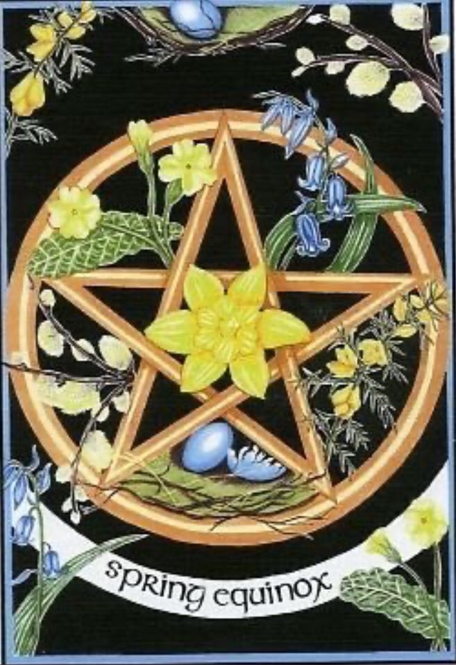 Aphoena (Witch with a paranormal touch) tweet media