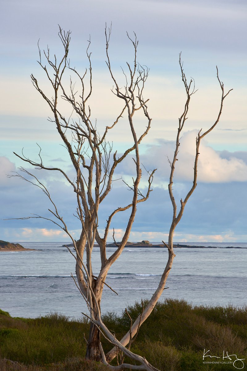 Kevin Henney tweet media