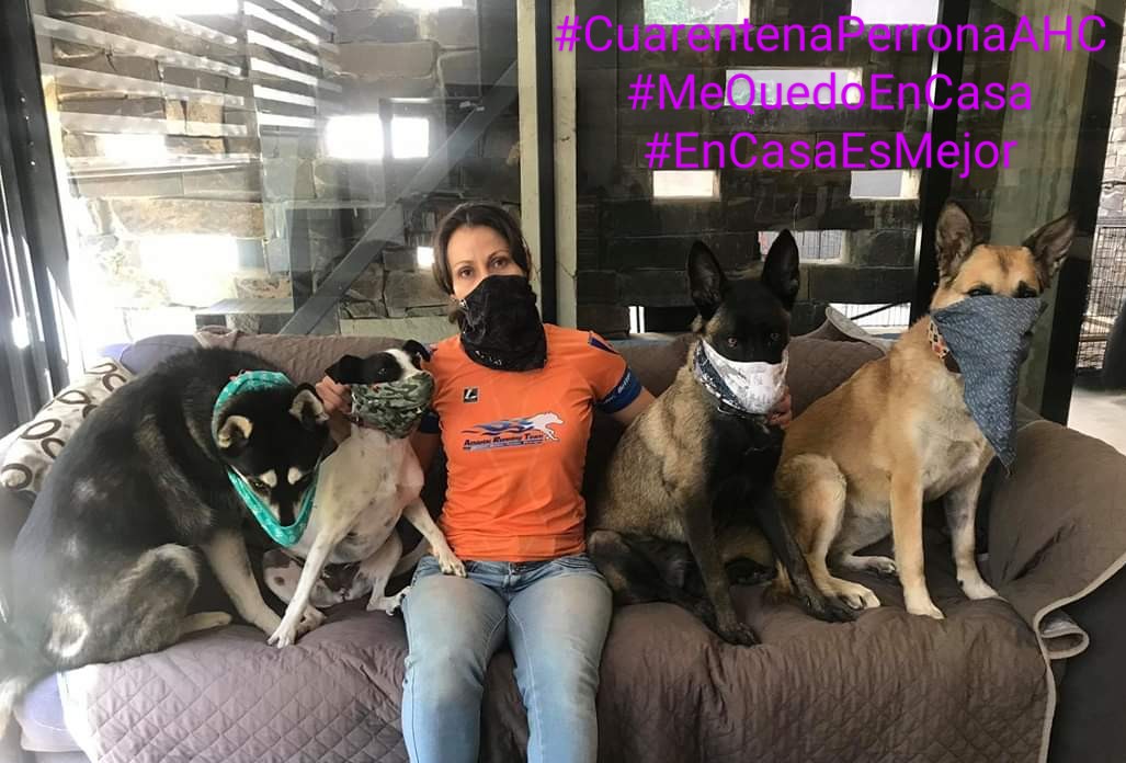 AHC_GDL's tweet photo. @goliveros #juegalocalgdl 
Somos un club de actividades caninas y en conjunto con empresas tapatías comprometidas con el bienestar animal, lanzamos un reto para mantenernos activos en casa durante la cuarentena.
¡Que llegue a más personas!
Los detalles en: https://t.co/hkVLsRjG7M https://t.co/r2hn26aam6