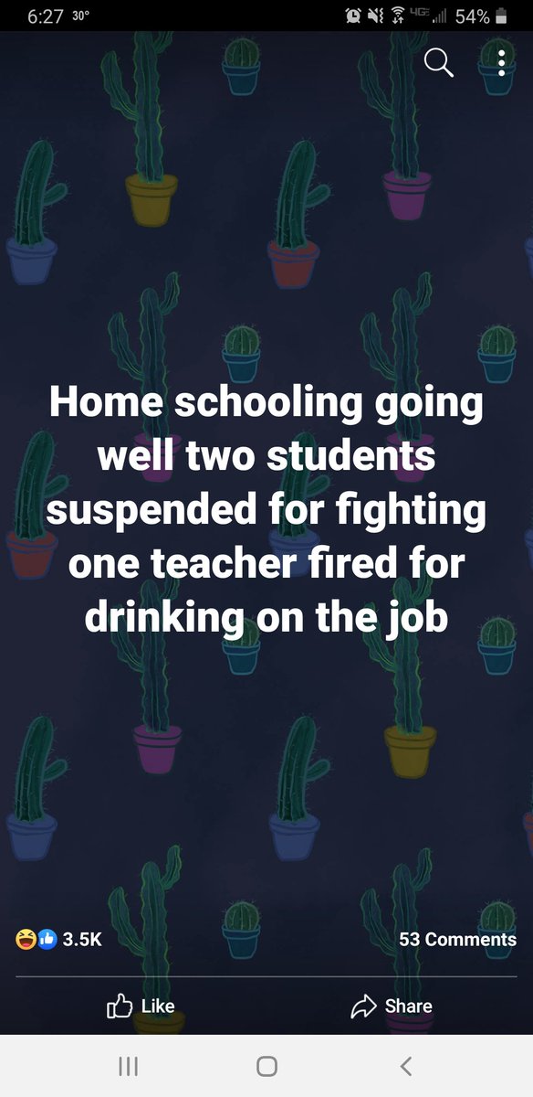 Parents check in with a Gif/meme that describes how online/home learning is going! My wife sent me this one. <a href="/stritafalcons/">stritaschool</a> <a href="/Mrs_Yax/">Aisha EFWU</a> <a href="/Mrs_Bohning/">Cristina Bohning</a> @FalconsPE <a href="/mitch729/">Michelle Czernec</a>