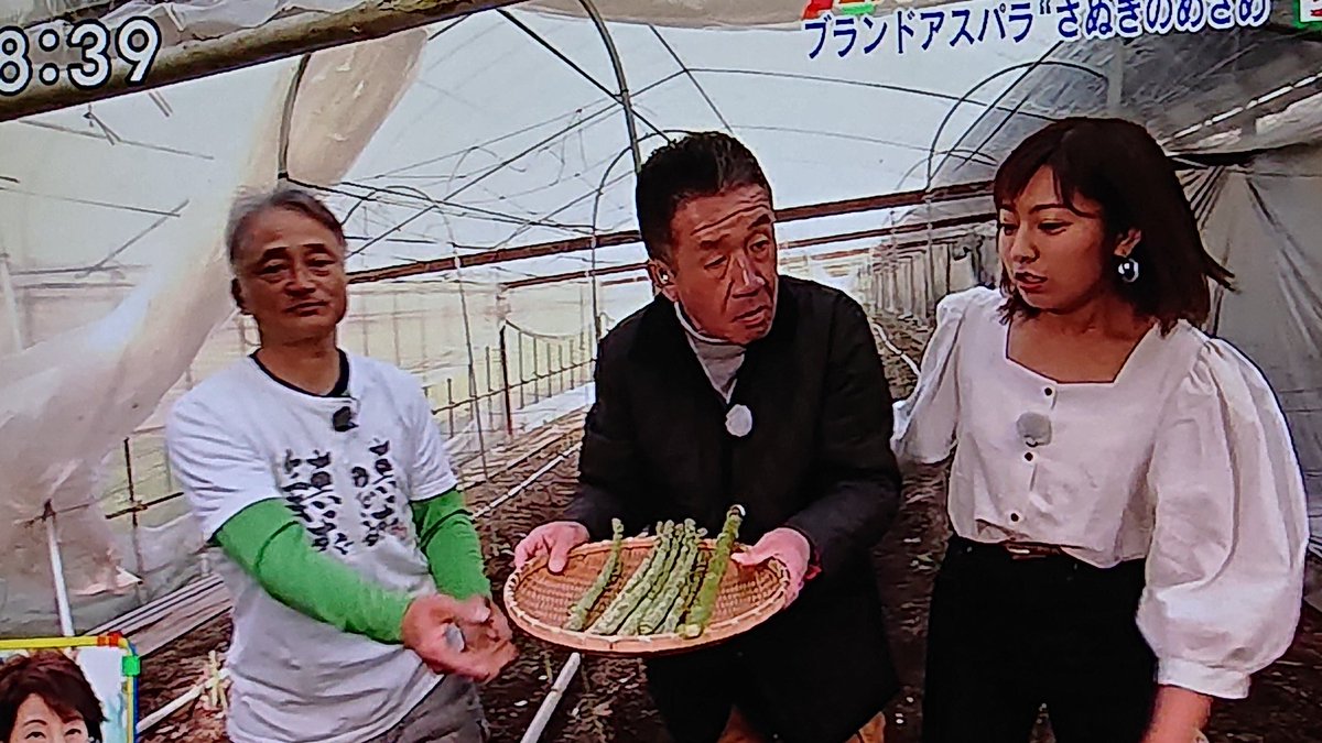 ヨッシー1号 讃岐の目覚めって アスパラガスの品種 デカッ 親父の実家が香川県で 度々行くけど 初めて知った 美味しそうだ 旅サラダ 讃岐の目覚め アスパラガス ヨッシー1号 讃岐の目覚めって アスパラガスの品種 デカッ 親父の実家が香川県で 度々行くけど 初めて知った 美味しそうだ 旅サラダ 讃岐の目覚め アスパラガス