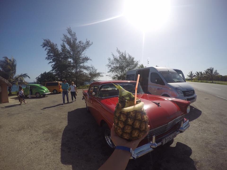 Life in pictures. No words. Day 4/5. I was nominated by <a href="/jordanlynh/">jordan hall</a>, I nominate <a href="/aashliecook/">Ashlie Cook</a>.