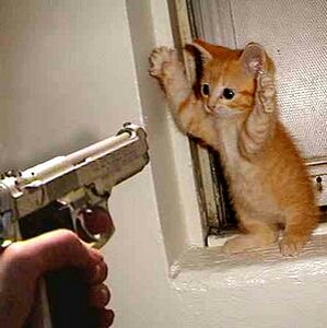 General Hux as cats (@huxascats) on Twitter photo 